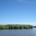 20130622_1109_The tip of the marsh grass triangle